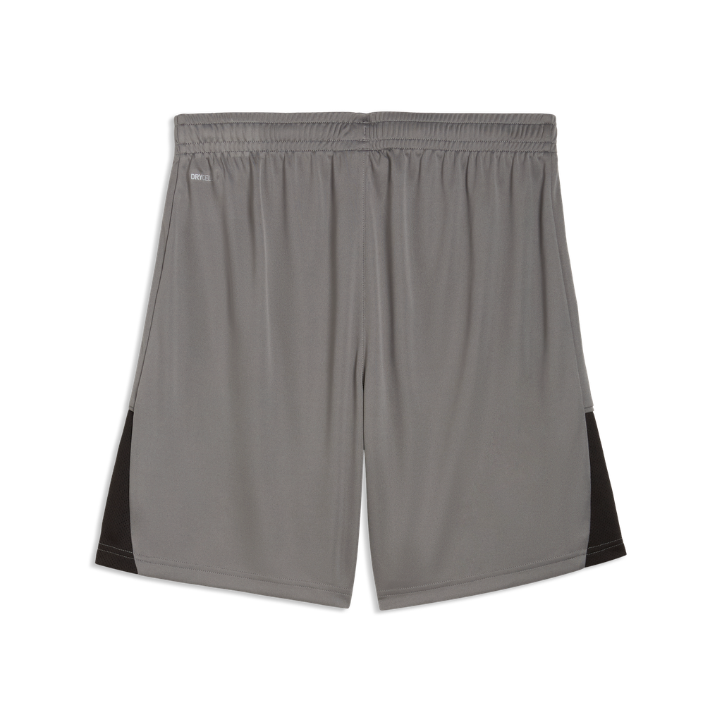 teamLIGA26 Shorts Grau