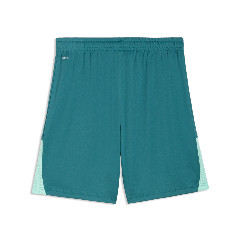 teamLIGA26 Shorts Grün 43