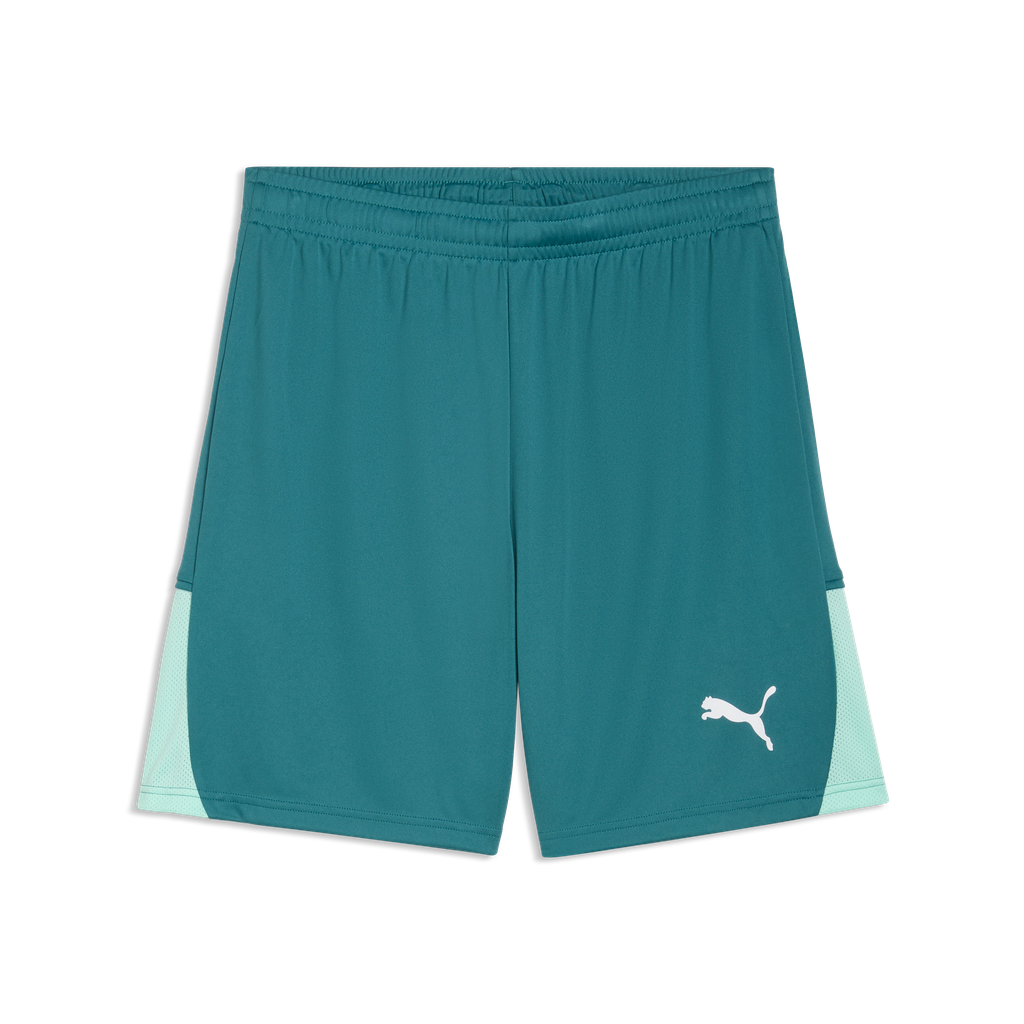 teamLIGA26 Shorts Grün 43