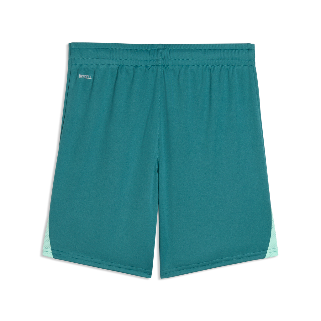 teamLIGA26 Shorts Jr Grün 43