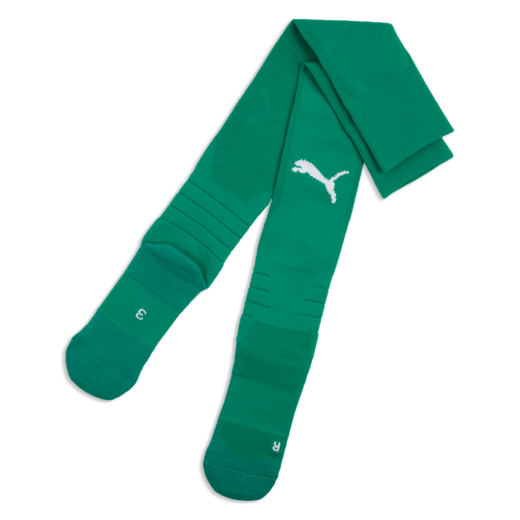 teamLIGA26 Socken Grün