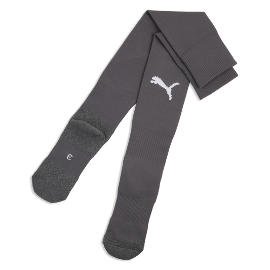 teamLIGA26 Socken Core Grau