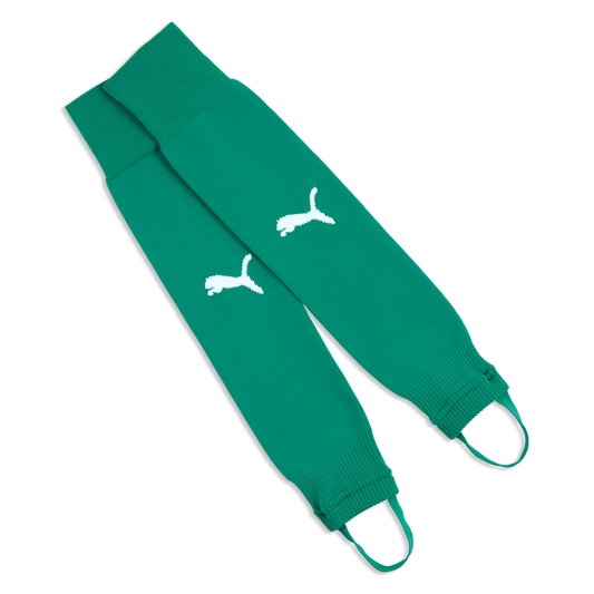 teamLIGA26 Socken Core Steg Grün