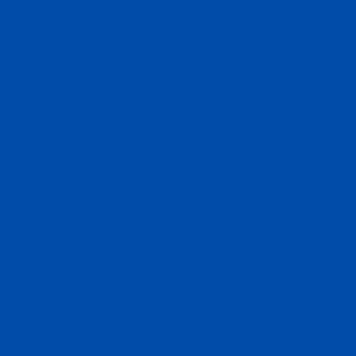 LIGA Base Layer Short Tight Blue