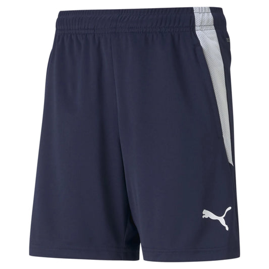 teamLIGA Trainingsshorts Jr Blau