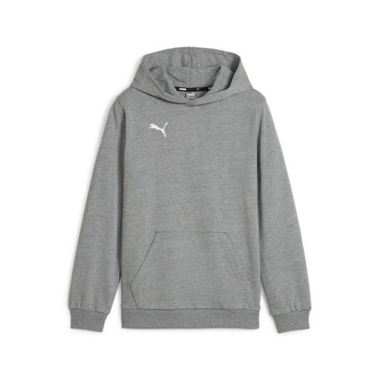 teamGOAL Casuals Hoodie Jr Grau