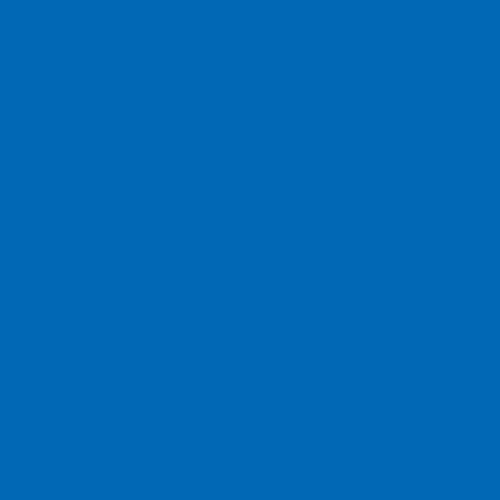 Team LIGA Steigbügelsocken CORE Blau