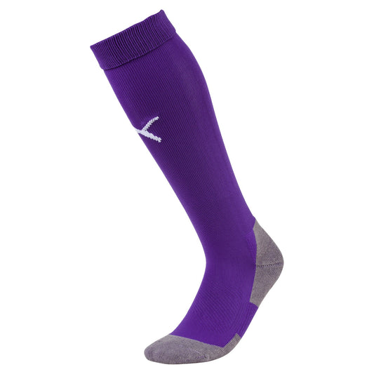 Team LIGA Socken CORE Lila