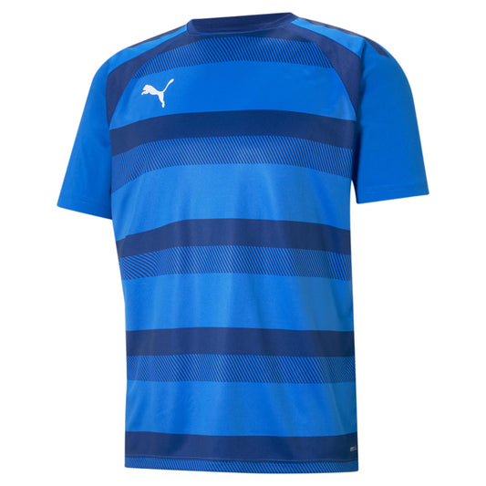 teamVISION Trikot Blau