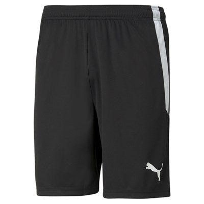 teamLIGA Shorts Schwarz