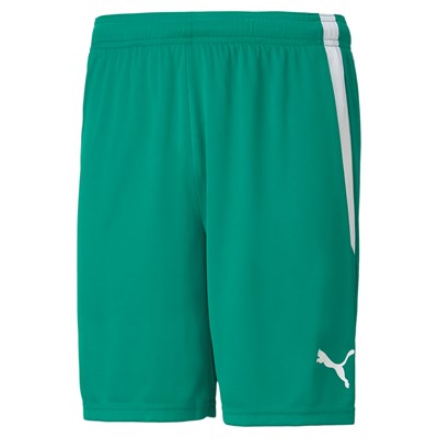 teamLIGA Shorts Jr Grün