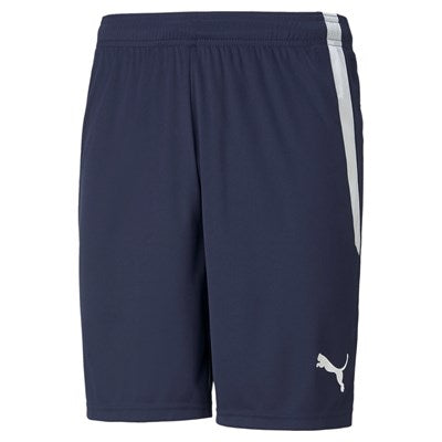 teamLIGA Shorts Blau