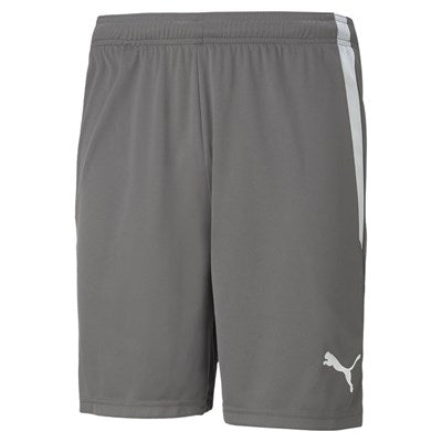 teamLIGA Shorts Grau