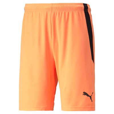 teamLIGA Shorts Jr Orange