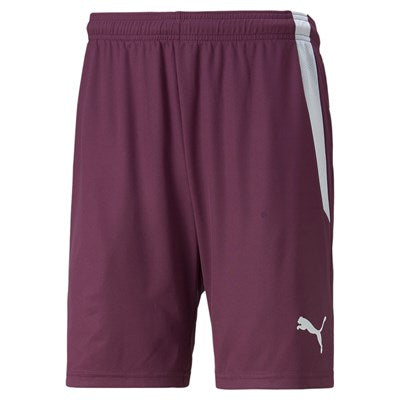 teamLIGA Shorts Jr Lila