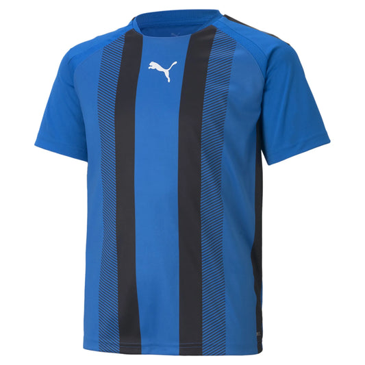 teamLIGA Gestreiftes Trikot Jr Blau