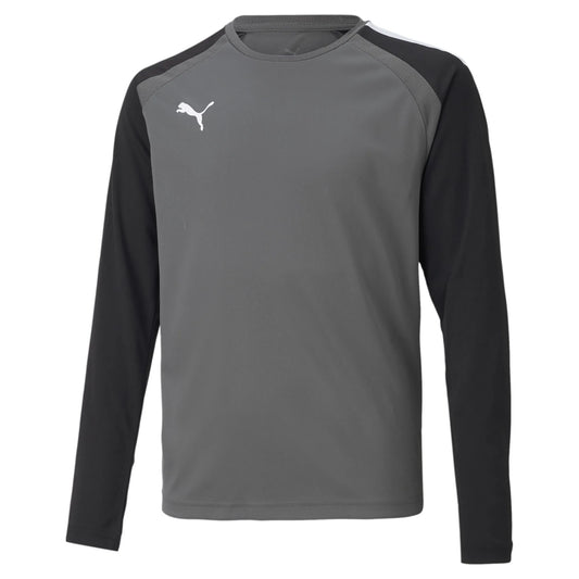 teamPACER GK LS Trikot Jr Grau