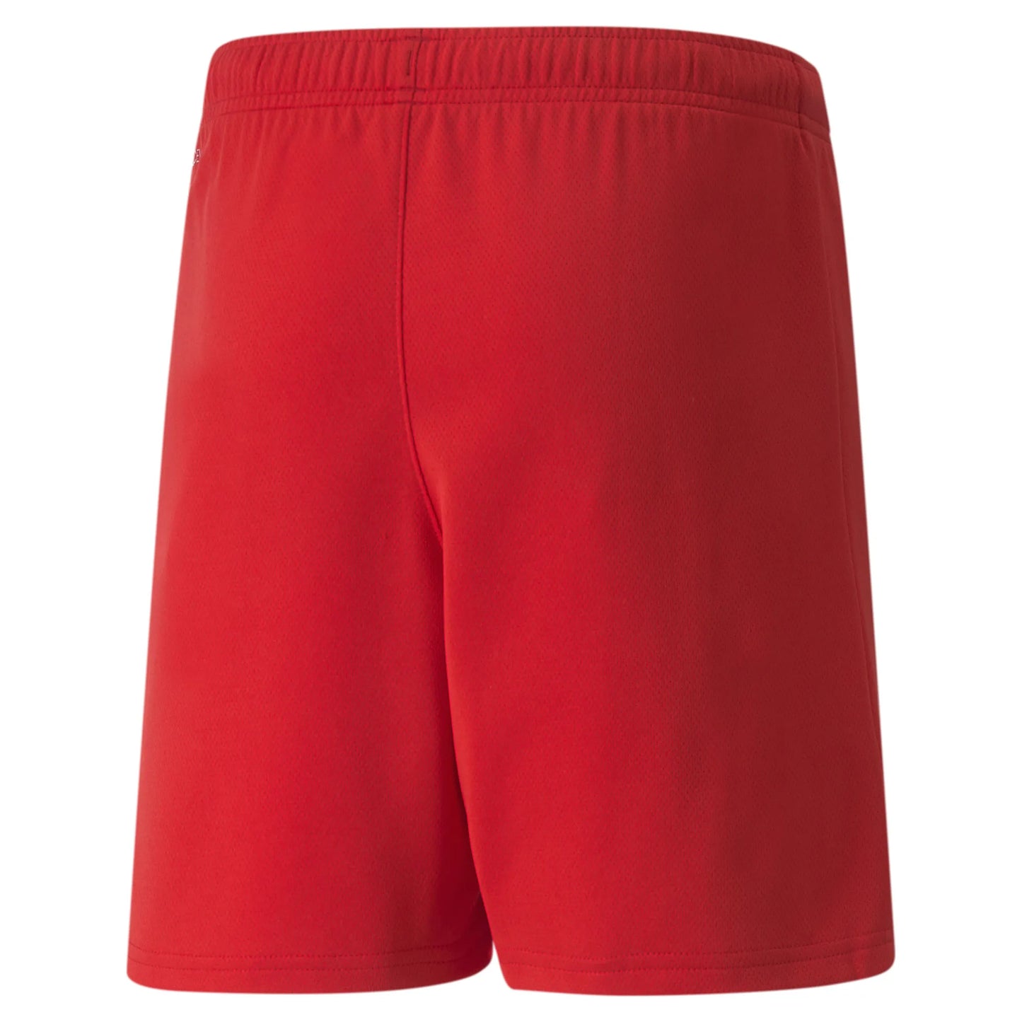 teamRISE Shorts Jr