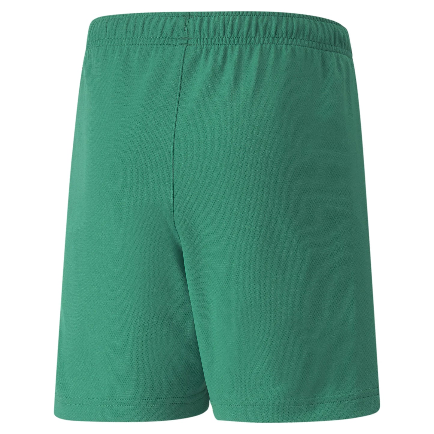 teamRISE Shorts Jr