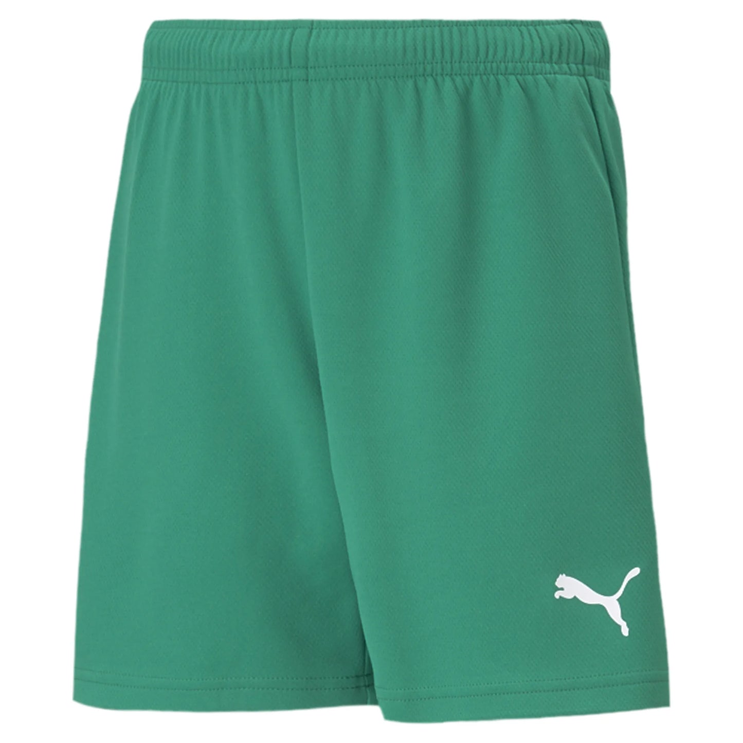 teamRISE Shorts Jr