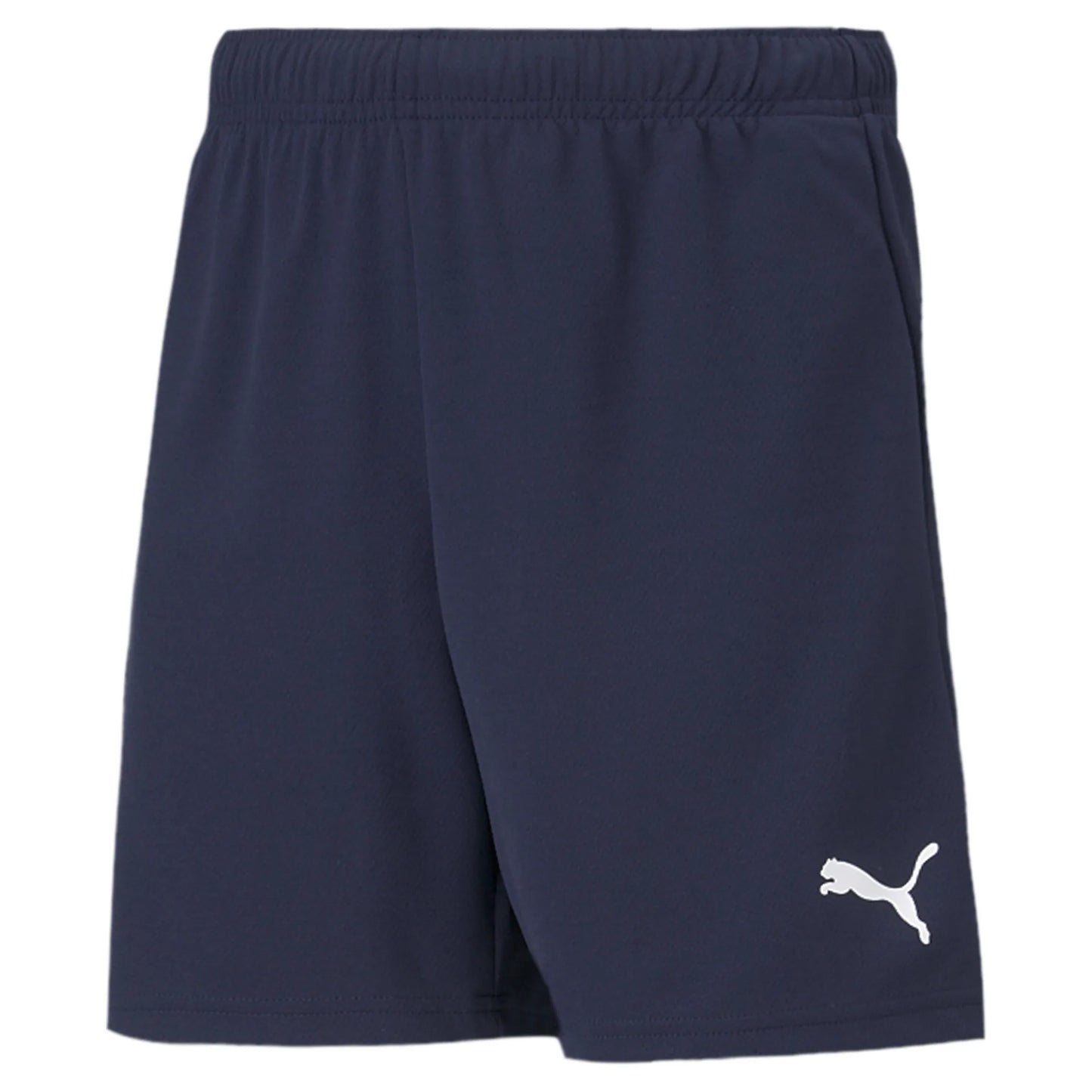 teamRISE Shorts Jr Colorway II