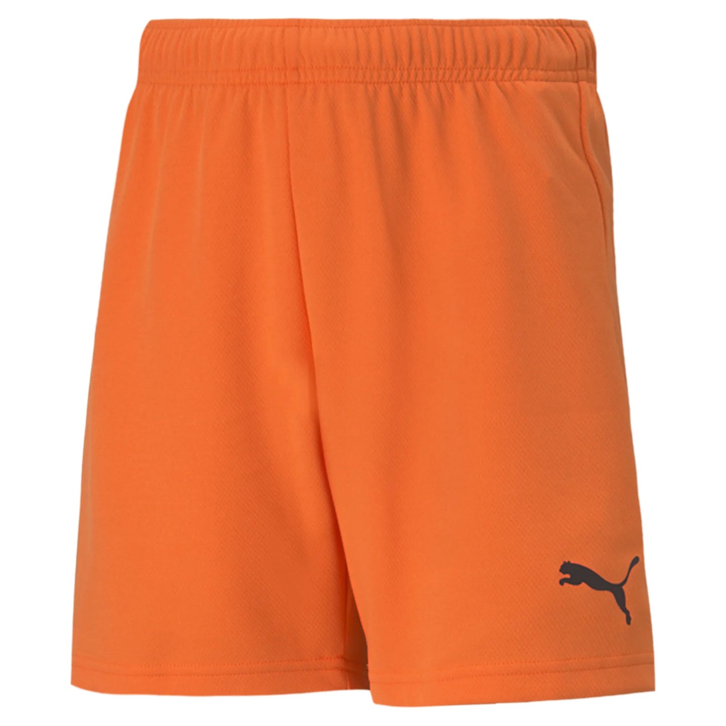 teamRISE Shorts Jr Colorway II