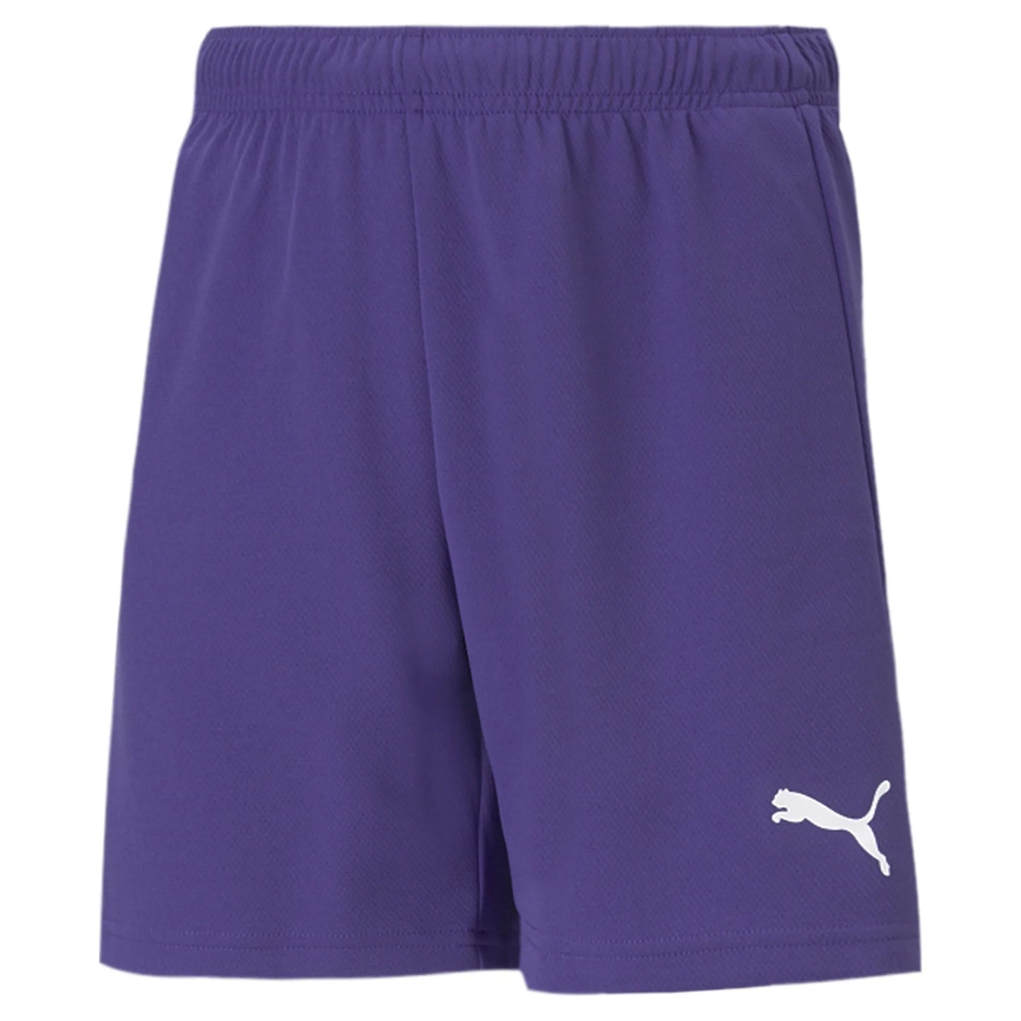 teamRISE Shorts Jr Colorway II