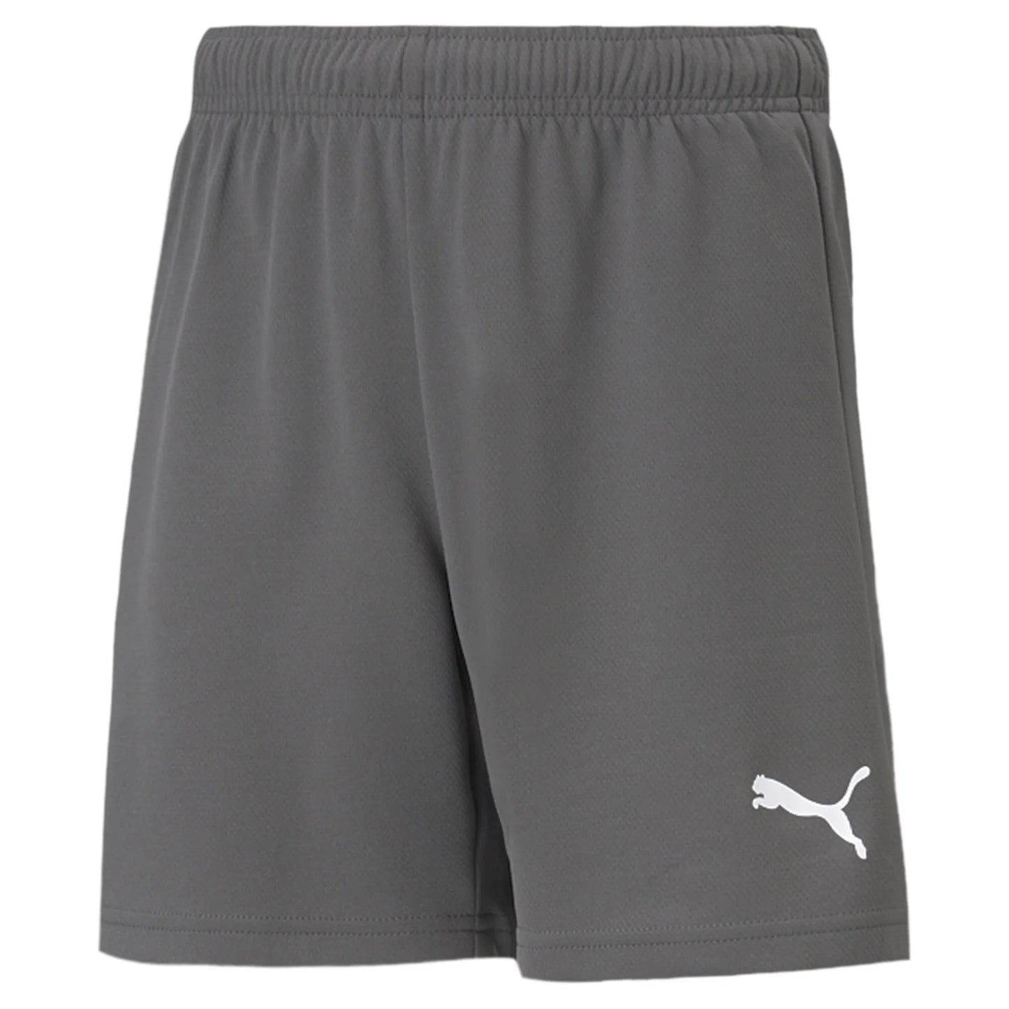 teamRISE Shorts Jr Colorway II