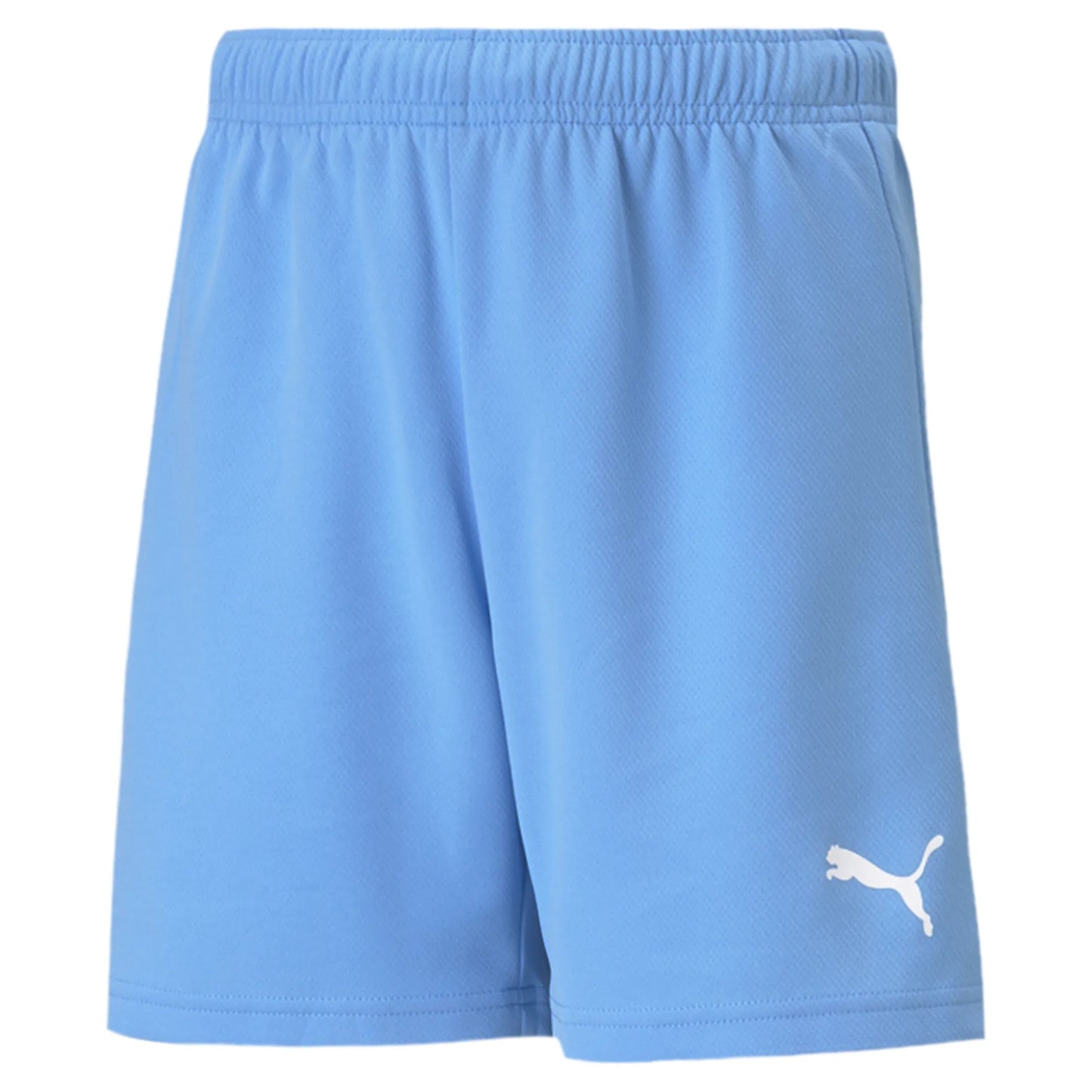 teamRISE Shorts Jr Colorway II