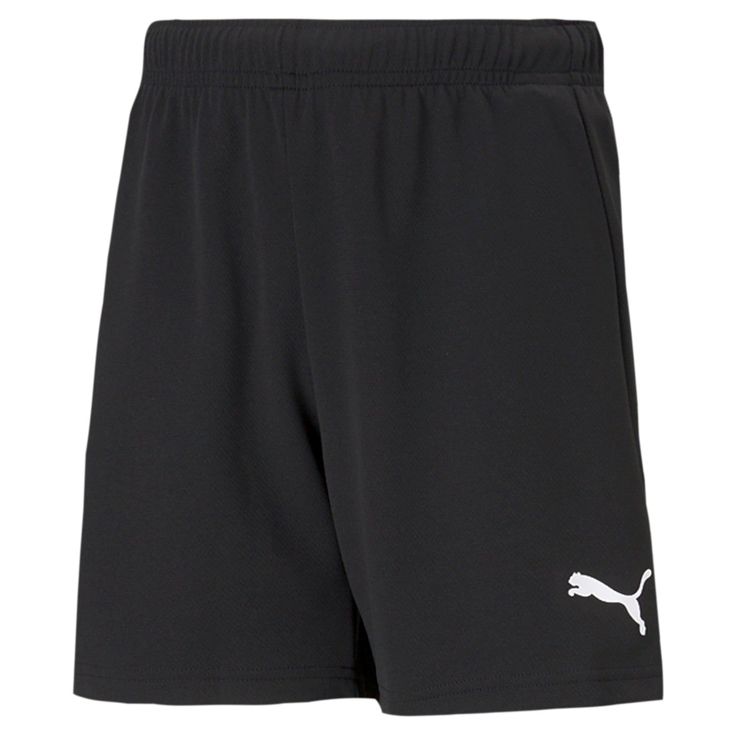 teamRISE Shorts